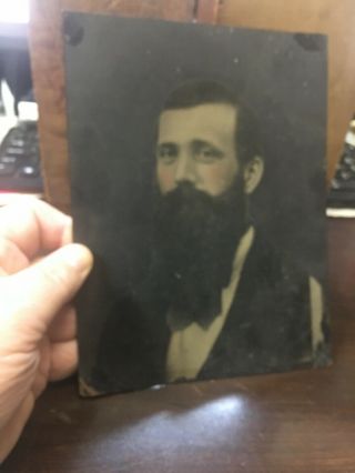 Large Antique Tin Type Photograph Man w/ Long Beard 8 1/2” X 6 1/2” Hand Tinted 5