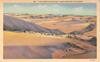 C22 - 4729,  The American Sahara,  Sand Dunes On The Desert.  Postcard.