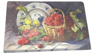 Vintage Postcard Artist Signed Mary Golay,  Delft Dish And Cherries,  Great Color
