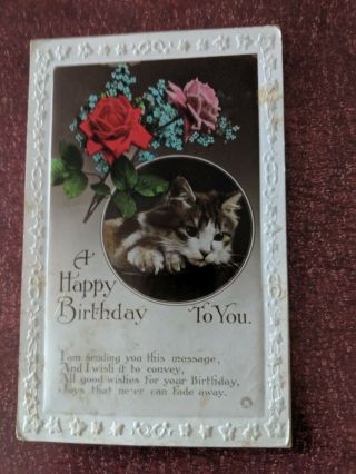 Cat Vintage Postcard.  Birthday.  Cat In Frame Flowers.  British.  Not Mailed