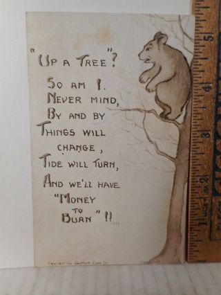 Comic Humor Postcard Up A Tree? So Am I With Bear (1912) 725tb.