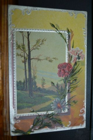 Wooded Stream With Carnations And Daisy Flower In 1910 Art Nouveau Postcard