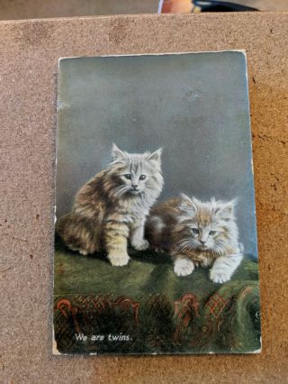 Cat Vintage Postcard.  Two Kittens.  Green/red Cloth.  Pm 1909.  Raphael Tuck.