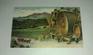Mt St Helena Napa California Wine Beringer Bros Vineyards L.  Roesch Post Card