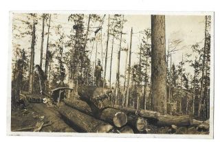 Real Photo Postcard - Logging Scene - No Location.