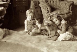 1915 Era Photo Negative Kids Love Taxidermy Pet Raccoon Badger Kinda Creepy