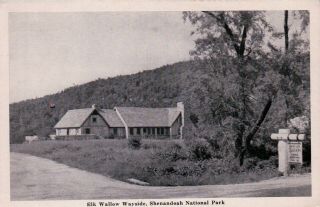 Elk Wallow Wayside,  Shenandoah National Park,  Va Vintage Postcard