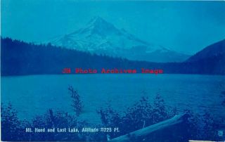 Or,  Mount Hood,  Oregon,  Rppc,  Lost Lake,  1908 Pm,  Cyanotype Photo