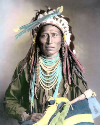 Heebe - Tee - Tse Shoshone Native American Indian 1899 8x10 " Hand Color Tinted Photo