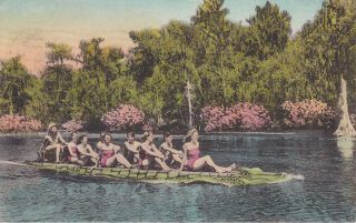 Old Postcard Wakulla Springs Fl Mechanical Alligator Carries Bathing Beauties