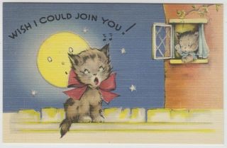 Vintage Wish I Could See You Singing Cat Postcard Asheville 244