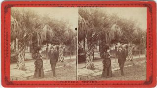 View Of Woman And Man In Fancy Dress Cabinet Stereoview Palatka Florida
