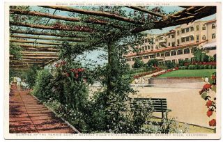 Glimpse Of The Tennis Court Beverly Hills Hotel California Vintage Postcard