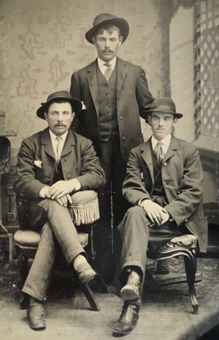Antique American Three Young Men Brothers Hats Tintype Photo