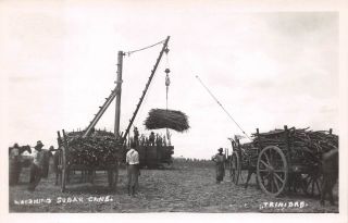 Trinidad,  Bwi,  Workers Weighing Sugar Cane,  Real Photo Postcard C 1930 - 40 