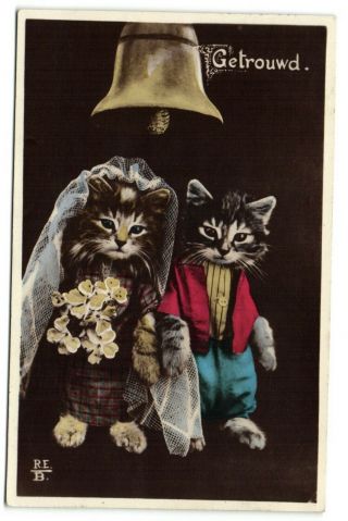 Dressed Cats Wedding Bride And Groom Photo Postcard 1930