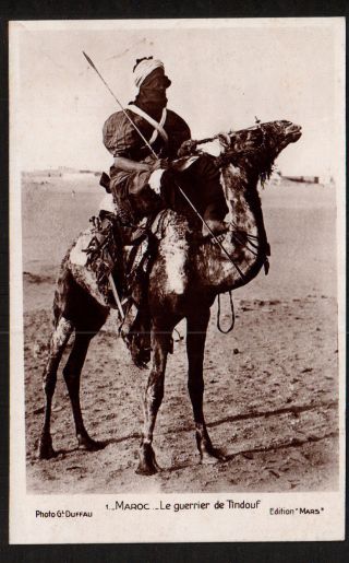 Ad1384 Ethnic N.  Africa Touareg Tuareq Tindouf Tribe Warrior On Camel Rppc