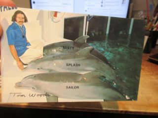 Vintage Old Postcard York Niagara Falls Aquarium Dolphins Trainer Tom Woods