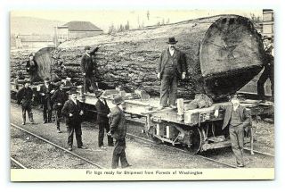 Vintage Postcard Large Logs On Rail Train Cars Washington State I5