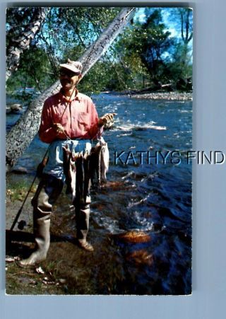 Color Postcard Q_6866 Kern River Valley,  Fishermans Paradise