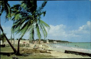 Southernmost Shore Beach Key West Florida Fl 1950s Postcard
