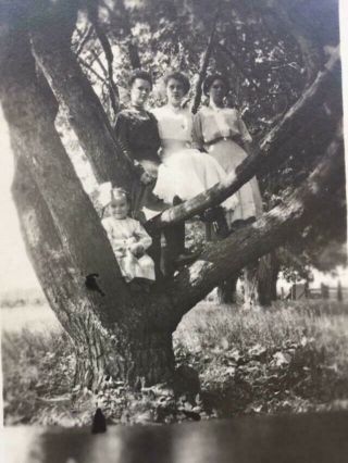 Antique Real Photo Postcard Rppc 3 Women Little Girl Sitting In A Tree Victorian