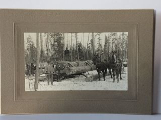 Antique Photo Cabinet Card Of Group Of Men Logging With Horses In Montana?