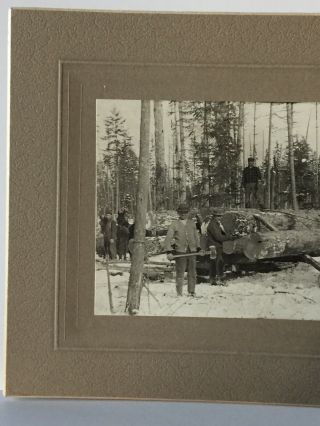 Antique Photo Cabinet Card of Group Of Men Logging With Horses In Montana? 2