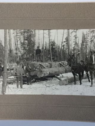 Antique Photo Cabinet Card of Group Of Men Logging With Horses In Montana? 3