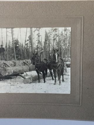 Antique Photo Cabinet Card of Group Of Men Logging With Horses In Montana? 4