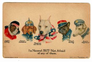 Wallace Robinson Postcard - Dog Propaganda - Ww1 Era