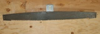 Vintage 54 Inch Long 2 Man Crosscut Logging Timber Saw Blade