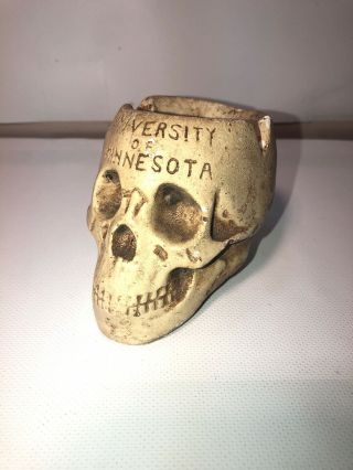 Vintage Chalkware Universty Of Minnesota Skull Ashtray