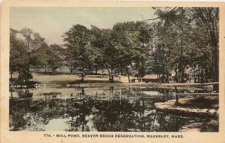 Beaver Brook Massachusetts Postcard Waverly Ma 1928 Reservation Mill Pond