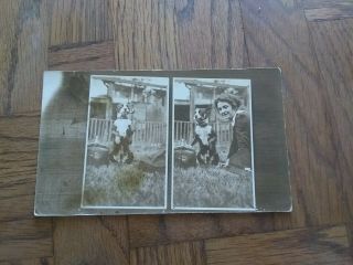 Antique Postcard Dog Smoking Pipe
