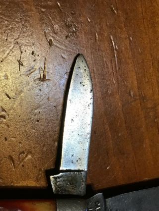 Vintage Case XX USA RedBone Tadpole 1960’s 2 Blade Pocket Knife 5