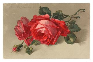 A/s C.  Klein Flowers Red Rose In Vase Meissner & Buch A0803
