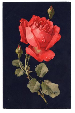 U/s C.  Klein Flowers Red Rose Meissner & Buch A0814