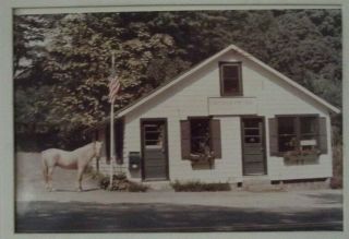 Vintage Post Office Photograph North Salem York Vintage Equestrian Horse