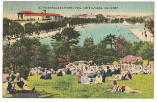 Fleishhacker Swimming Pool Sea Water San Francisco California Postcard Linen