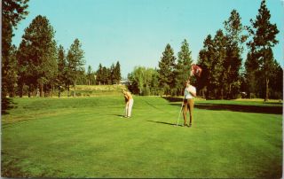Kimberley Golf & Country Club Bc Golf Course Golfing Vintage Postcard E59