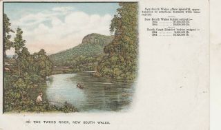 Vintage Postcard Nsw Government Tourist Bureau Tweed River Nsw 1900s
