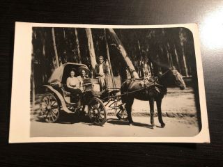 Photo Postcard - - Mexico - - Guadalajara - - Tourist Couple Guide Horse And Buggy 1956