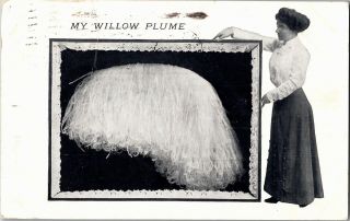 Advert Rosenthal - Sloan Millinery Ostrich Feathers C1909 Vintage Postcard Q17