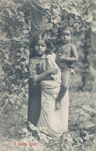 Ceylon Young Ayah Girl And Little Boy 1910s Pc