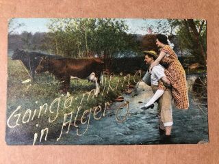Early Unposted Postcard Going A - Milking In Alger Ohio Oh With Writing