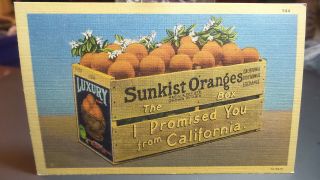 Vintage Linen Postcard,  Sunkist Oranges Comic,  Advertising,  California