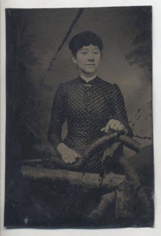 Tintype Portrait Of Young Woman In Polka Dot Dress W/ Tree Branches