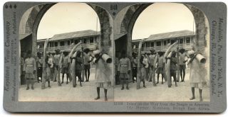 British East Africa Mombasa Ivory From Jungle On Way To America Stereoview