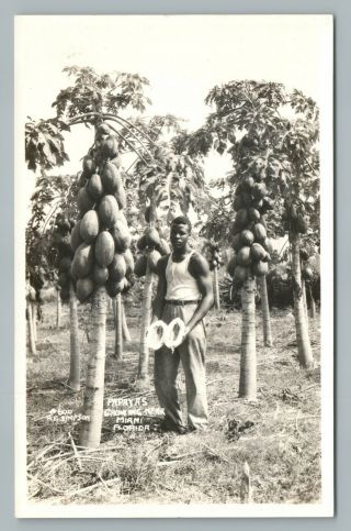 Muscle Man W Papayas Rppc Black Americana Miami Florida Vintage Photo 1940s